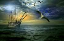 Чайки сопровождают парусный корабль