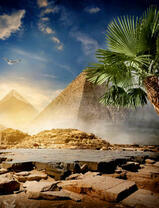 Пальмы и пирамиды Египта