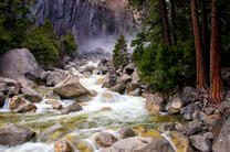 Стремительный ручей в лесу