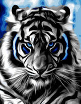 Черно-белый тигр на голубом фоне