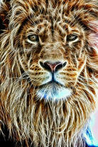 Особенный лев