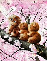 Три милых котёнка на цветущем дереве