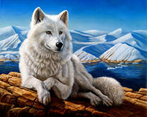 Большой белый волк на фоне гор