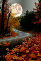 Дорога к большой луне