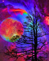 Красочное небо в ночи