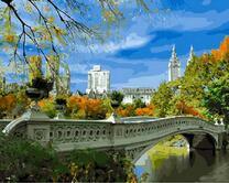 Красочный мост в городском парке