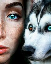 Девушка и хаски
