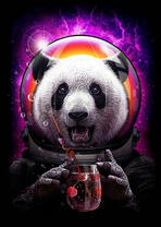 Медведь-панда готов к полёту в космос