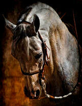 Грустная лошадь