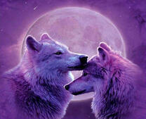 Волчья любовь