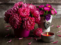 Букеты астр и свеча