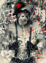 Шимпанзе в подтяжках