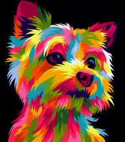 Разноцветный вестик