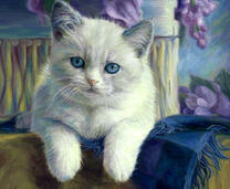 Беленький котенок на стуле