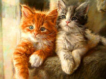 Котята-пушистики