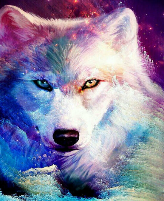 Картина по номерам 40x50 Огромный белый волк