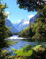 Чудесный вид на горную реку