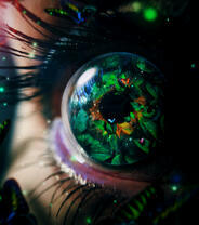 Сказочно-зеленый глаз