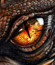 Большой глаз дракона