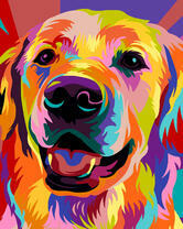 Разноцветный ретривер