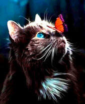 Пушистая кошечка с бабочкой на носу