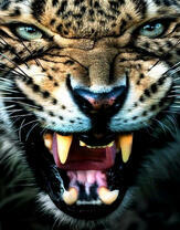 Злой рык леопарда