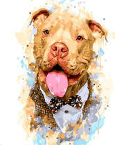 Пёс в пиджаке с бабочкой