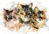 Три серые кошки