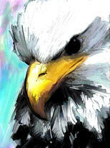 Портрет грозного орлана