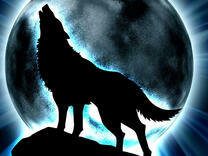 Силуэт волка на фоне луны