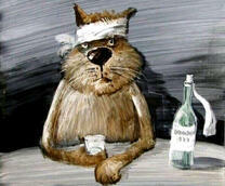 Кот с больной головой