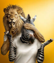 Лев и зебра