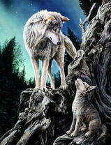 Волчица с волчонком на фоне лазурного неба