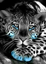 Скучающий леопард