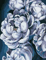 Белые цветы на темном фоне