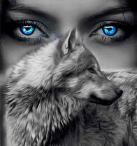 Серый волк и голубоглазая девушка