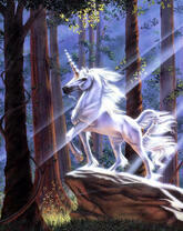 Белый единорог в серебристых лучах луны
