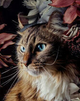 Пушистая кошечка среди цветов