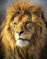 Портрет сурового льва