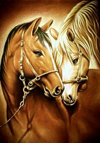 Две милые лошади