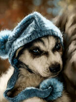 Милый щеночек в синей шапочке