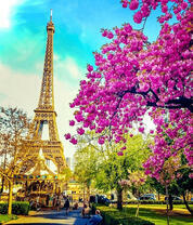 Париж в цвете сакуры
