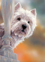 Милая собачка