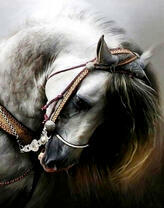 Игривая белая лошадь