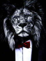 Солидный лев