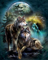 Волки в темном лесу