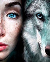 Серый волк и девушка