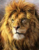 Большой мудрый лев