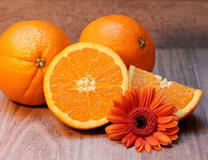 Сочные апельсины и гербера