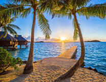 Пальмы, море и пляж